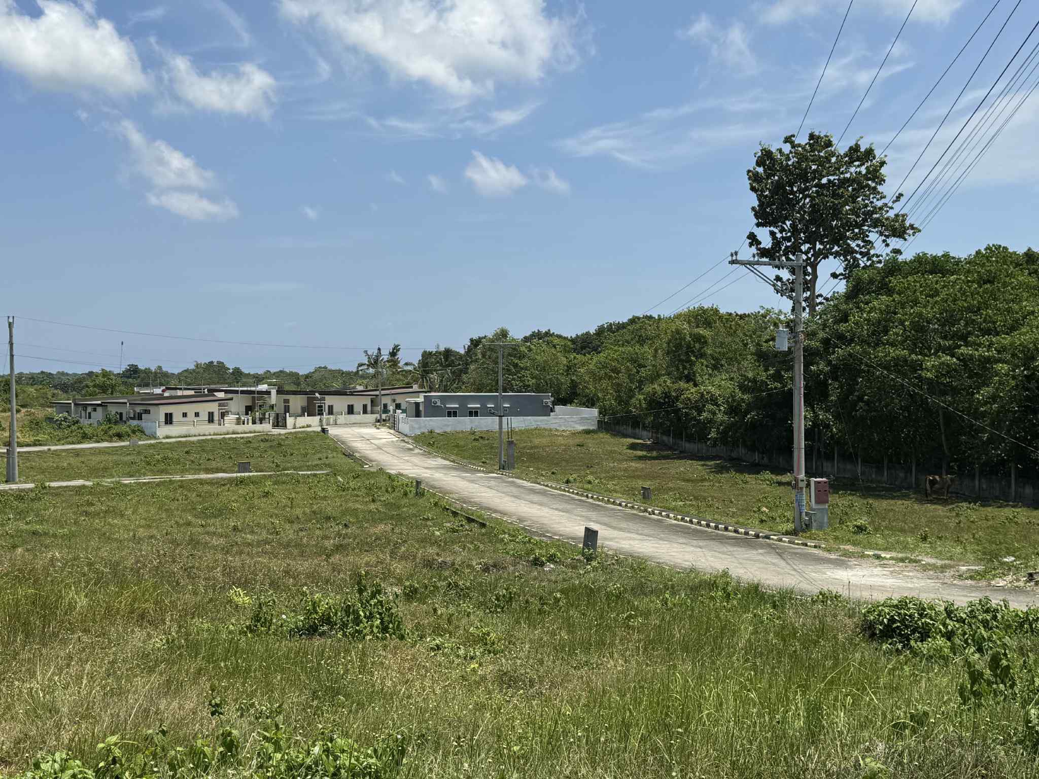 ESTRELLA LOT FOR SALE @ Dauis Bohol