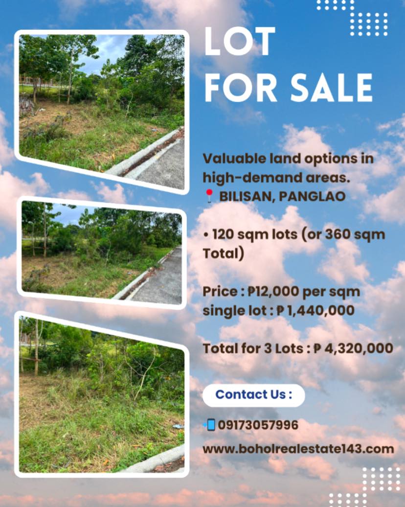 PROPERTY LOT FOR SALE – 120sqm lots (or 360sqm total) in Bilisan Panglao